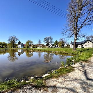 Prodej rodinného domu 280 m&sup2; Bor