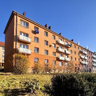 Prodej bytu 1+kk a garsoniéry 27 m² Tachov, Jana Sladkého Koziny