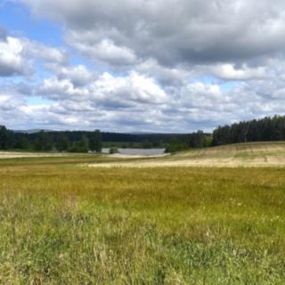 Prodej zemědělské půdy 220 644 m² Tisová, 