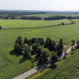 Prodej zahrady 2555 m² Nové Dvory