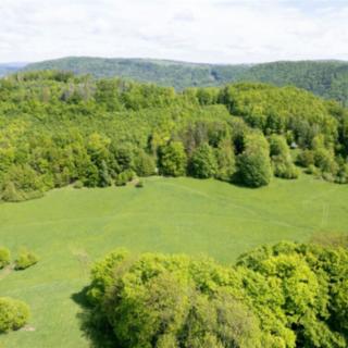 Prodej louky 22 595 m² Děčín