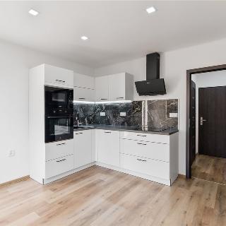 Pronájem bytu 1+1 35 m² Děčín, Oblouková