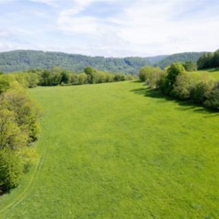 Prodej louky 19 126 m² Děčín