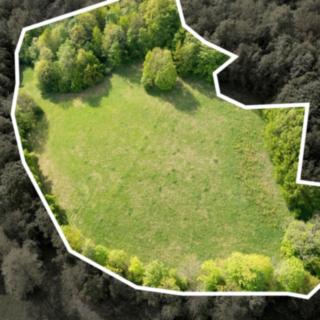 Prodej louky 27274 m² Děčín
