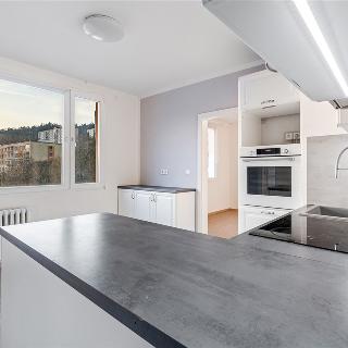 Prodej bytu 3+1 64 m² Děčín, Košická