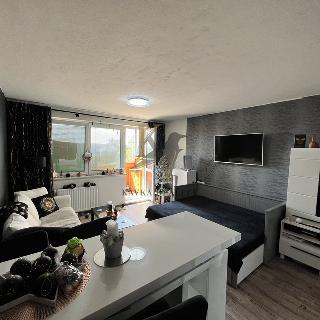 Pronájem bytu 1+kk a garsoniéry 30 m² Ostrava, Bedřicha Nikodema