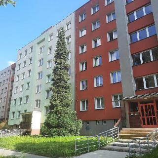 Pronájem bytu 1+1 40 m² Ostrava, Křižíkova