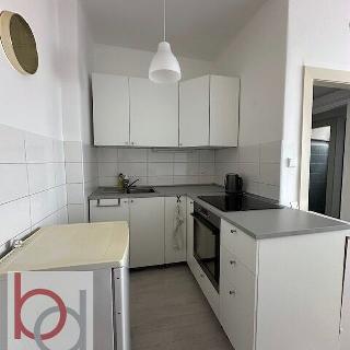 Pronájem bytu 1+1 48 m² České Budějovice, Lidická tř.