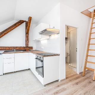 Pronájem bytu 1+kk a garsoniéry 40 m² České Budějovice, Matice školské