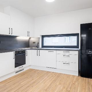 Pronájem bytu 2+kk 74 m² České Budějovice, Rudolfovská tř.