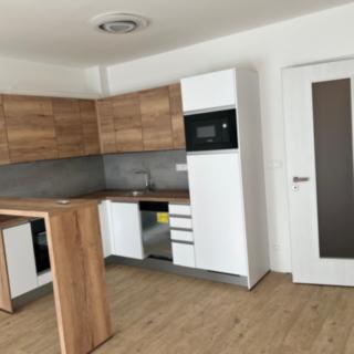 Pronájem bytu 1+kk a garsoniéry 47 m² České Budějovice, Chelčického