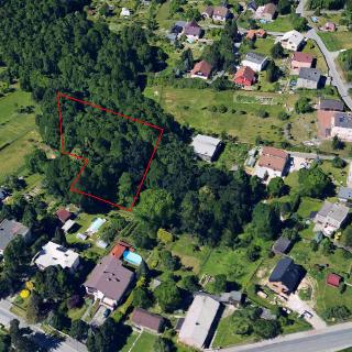 Prodej lesa 3 922 m² Orlová, Luční