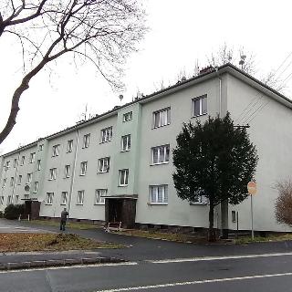 Pronájem bytu 3+1 85 m² Ostrava, Plechanovova