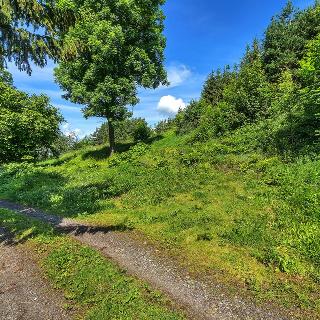 Prodej stavební parcely 1 210 m² Nekoř