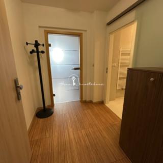 Pronájem bytu 2+kk 45 m² České Budějovice