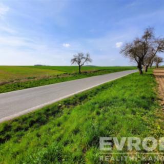 Prodej zemědělské půdy 27 281 m² Čistá