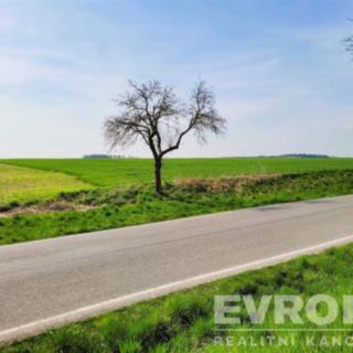Prodej zemědělské půdy 27 281 m² Čistá
