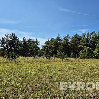 Prodej stavební parcely 1930 m² Uhlířská Lhota