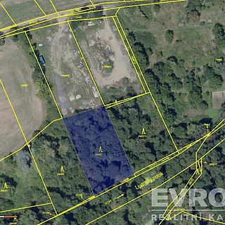 Prodej lesa 2166 m&sup2; Praha