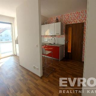 Prodej bytu 1+kk a garsoniéry 32 m² Praha, Švihovská