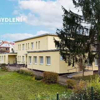 Pronájem ostatního komerčního prostoru 916 m² Teplice, Jaselská