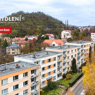 Prodej bytu 3+1 64 m² Ústí nad Labem, Tolstého