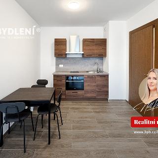 Pronájem bytu 2+kk 47 m² Teplice, Novoveská