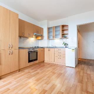 Prodej bytu 1+1 34 m² Duchcov, Vrchlického