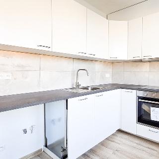 Pronájem bytu 2+1 53 m² Most, Maxe Švabinského