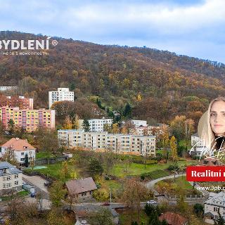 Prodej bytu 3+1 64 m² Ústí nad Labem, Tolstého