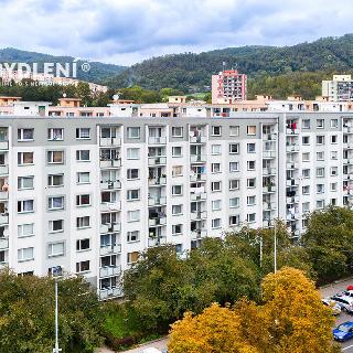 Prodej bytu 2+1 60 m² Ústí nad Labem, Seifertova