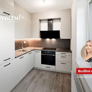 Pronájem bytu 2+kk 55 m² Teplice, Novoveská