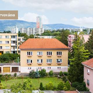 Prodej bytu 3+1 64 m² Teplice, Vančurova