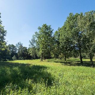 Pronájem komerčního pozemku 13 072 m² Jeníkov, 