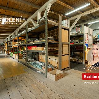 Pronájem skladu 300 m² Novosedlice, Bystřická