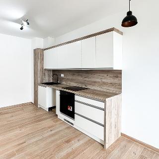 Pronájem bytu 2+kk 47 m² Teplice, Novoveská