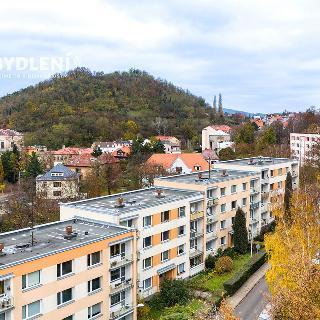 Prodej bytu 3+1 64 m² Ústí nad Labem, Tolstého