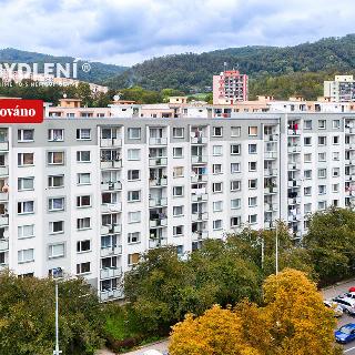 Prodej bytu 2+1 60 m² Ústí nad Labem, Seifertova