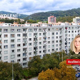 Prodej bytu 2+1 60 m² Ústí nad Labem, Seifertova