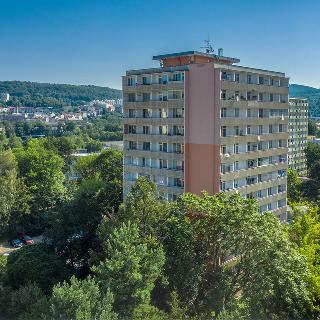 Pronájem bytu 1+kk a garsoniéry 28 m² Děčín, Žerotínova