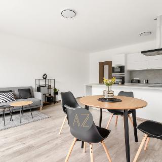 Prodej bytu 2+kk 59 m² Dobřany, Loudů