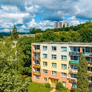 Pronájem bytu 1+1 29 m² Ústí nad Labem, Lisztova