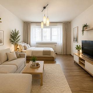 Pronájem bytu 1+1 45 m&sup2; Hulín