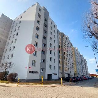 Prodej bytu 2+kk 42 m² Písek, Na Pěníku