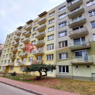 Prodej bytu 3+1 64 m² České Budějovice, Puklicova