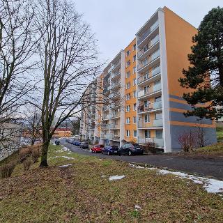 Prodej bytu 2+kk 41 m² Litvínov, Přátelství