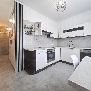 Prodej bytu 2+1 59 m² Chomutov, Holešická