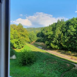 Prodej bytu 2+1 62 m² Chomutov, 17. listopadu