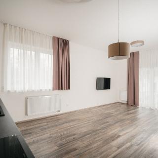 Prodej bytu 2+kk 67 m² Lipno nad Vltavou