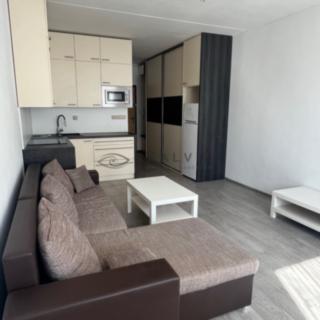 Pronájem bytu 1+kk a garsoniéry 21 m² České Budějovice 2, K. Chocholy